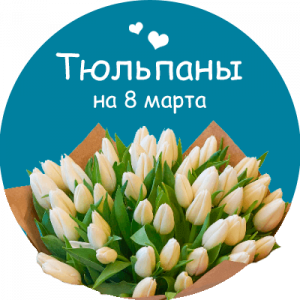 Купить тюльпаны в Снежинске
